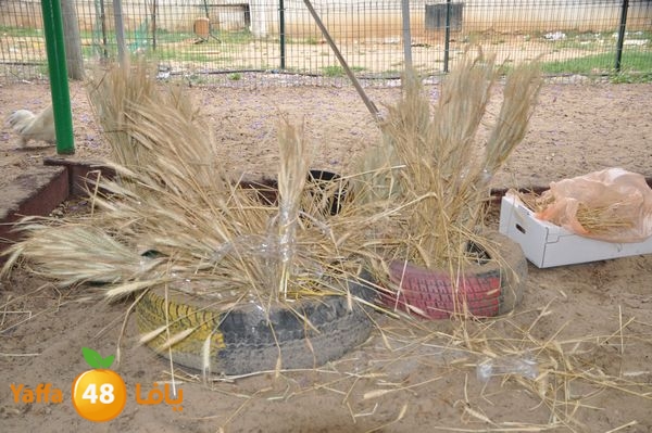 kidrawdaanimals510 (29).JPG